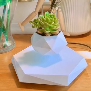 Magnetic Floating Levitating Display Pot for Succulents, air Bonsai & Plants.